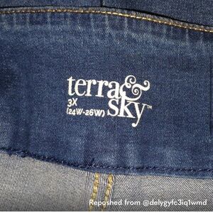 NWT Women's TERRA & SKY Bermuda Shorts - Blue - Sz 3X (24W/26W)